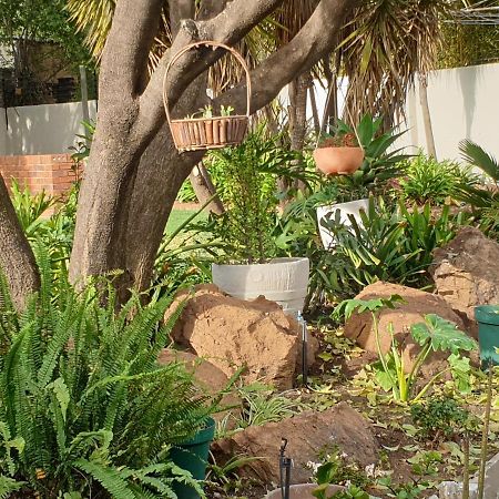 Elephant Bush Guest Cottage Alberton Extérieur photo